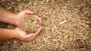 С 18 апреля 2026 г. разрешен экспорт опилок и древесных отходов в соответствии с изменениями, внесенными в Постановление Правительства ПМР "О запрете вывоза топливных ресурсов"