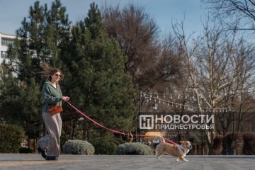 �������������: ��������� �������� � �� ��������� ������