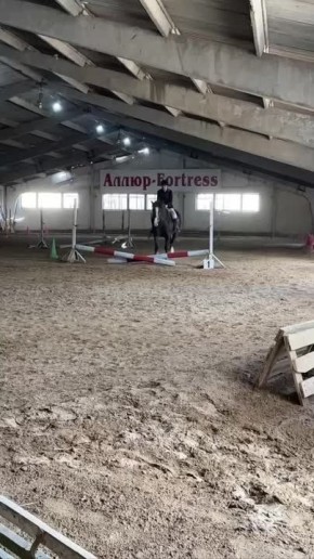 � ���������� ������ ����� ������-�������� � ���������� �� �������