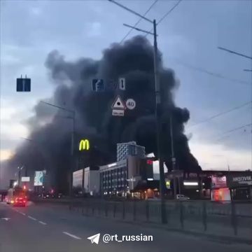 ����� ����� �� ����� ���� �����: �� ������ ������ ������ ������ ���