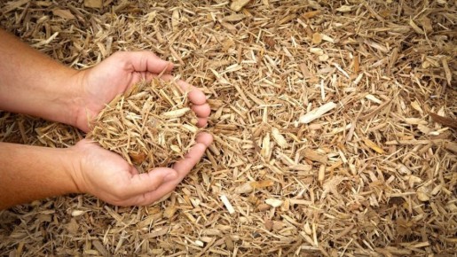 � 18 ������ � ������������� �������� ������� ������ � ��������� �������