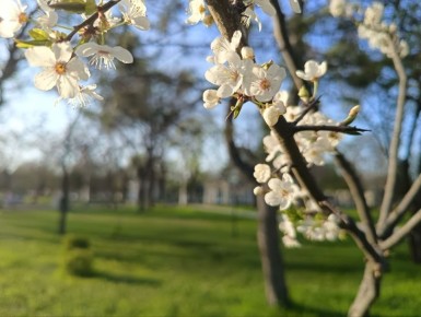 18 ������ ��������� ���������� ����������, ������� ��������������� �����