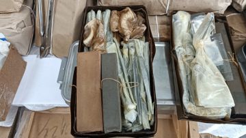 12 ������� ������� � ������������ �������� ������ �������� ���������������� ������ ������ � �������