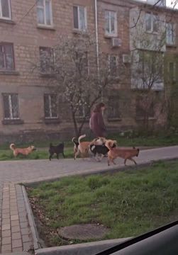 ���������. ���������, ������� ���� � ����� � ������������� ���� ��������� �����