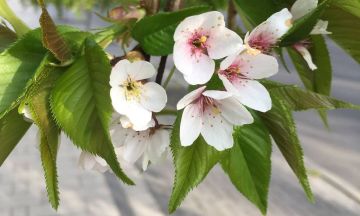 �������, � ����� ����� �� ������� ����� ������ � �������� ������