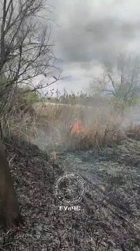 � ��� ����� ����� �� ����� ��������� � ���������