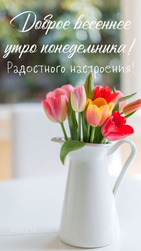20 апреля - новая неделя - новые планы - новые надежды