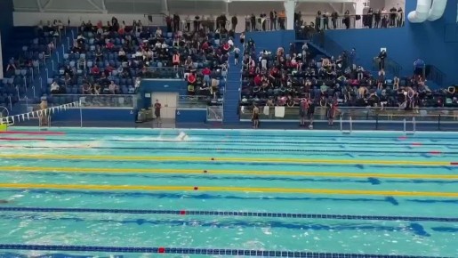 ���������-���������� ���������������� ������ ����������� ����������, ����������� ������������� ������ �������� ������ ����������� - ��� ������ ��������������� ���������, ������� ���������� ��������� �� ��������� �����������...