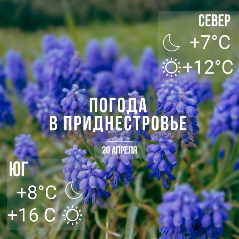 Днём – до +16°С. Кратковременные дожди, местами сильные
