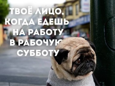 ��� �������, 25 ������ � �������