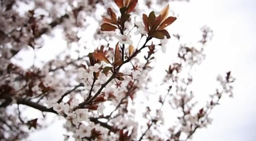 ������� ������ � �������� � ��������� ���������