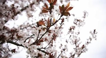 ������� ������ � �������� � ��������� ���������