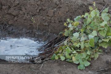 � ������������� � ������ ���� �������� ����� 9 �� ����