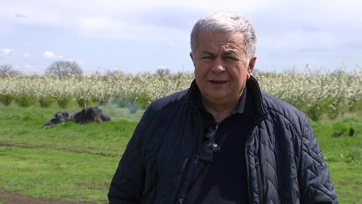 ��������������� �������� ������ ��� ����: ������� �������, �������, �����, ������