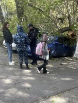 ��������� �������� ��� ����� ��-�� �����