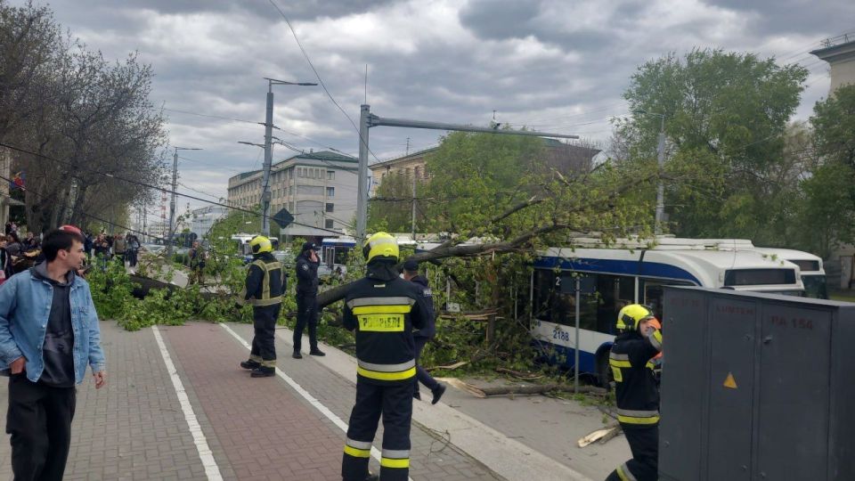 Дерево упало на троллейбус на главной улице Кишинёва