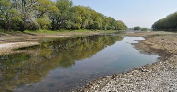 ������� �������� ��������������� ���������� ������ ���� � �������