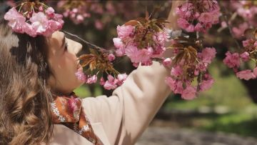 �������� � ����������� ��������, ���� ����� ������