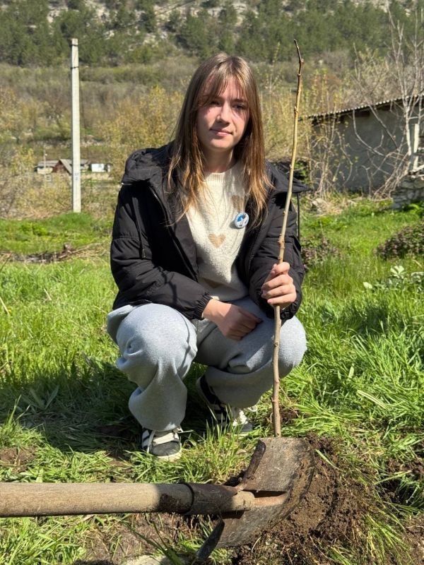 Берёзы, красный дуб, черёмуха, орех и туя — в селе Рашков (Каменский район) на территории школы появился «Сад памяти»
