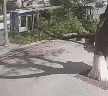 ������ ������� ������ ����� �� ������