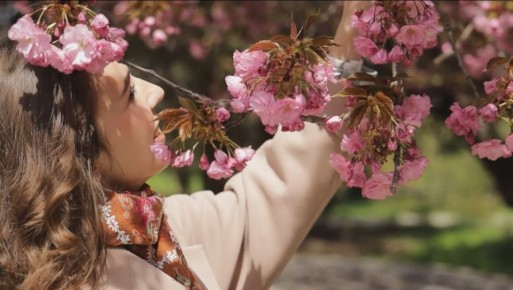 �������� � ����������� ��������, ���� ����� ������