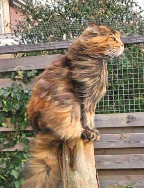 ��������� �������������� �� ���������������� ��������������