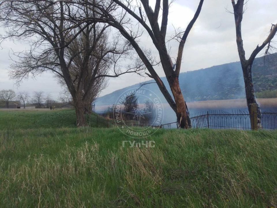 В Зозулянах вчера сгорело два гектара камыша В Зозулянах вчера сгорело два гектара камыша