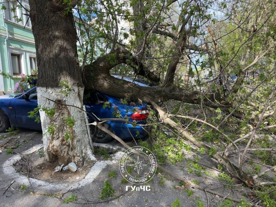 ГУпЧС: ликвидировали последствия сильного ветра ГУпЧС: ликвидировали последствия сильного ветра