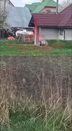 ���������� ������� �� �������