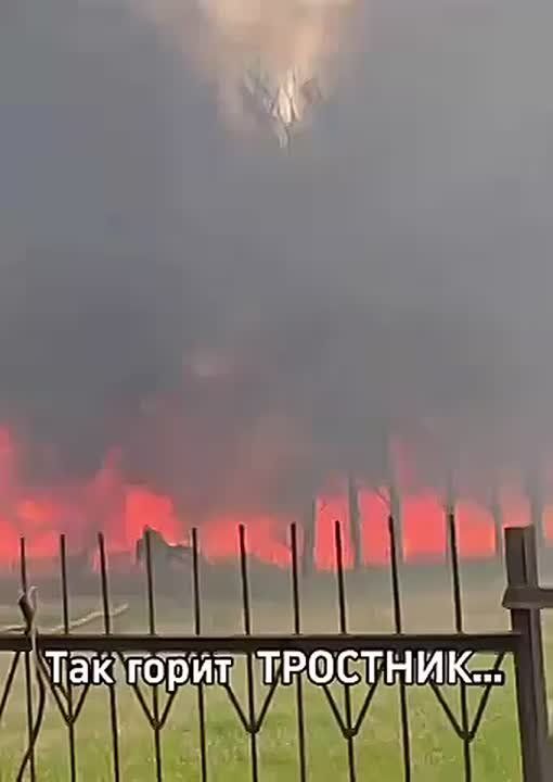Камыш вчера горел в Зозулянах в Рыбницком районе