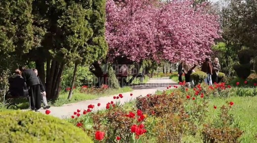 ��� ����� � ���������. �������� � ����� ����� ������ ���� � � 10:00 �� 20:00