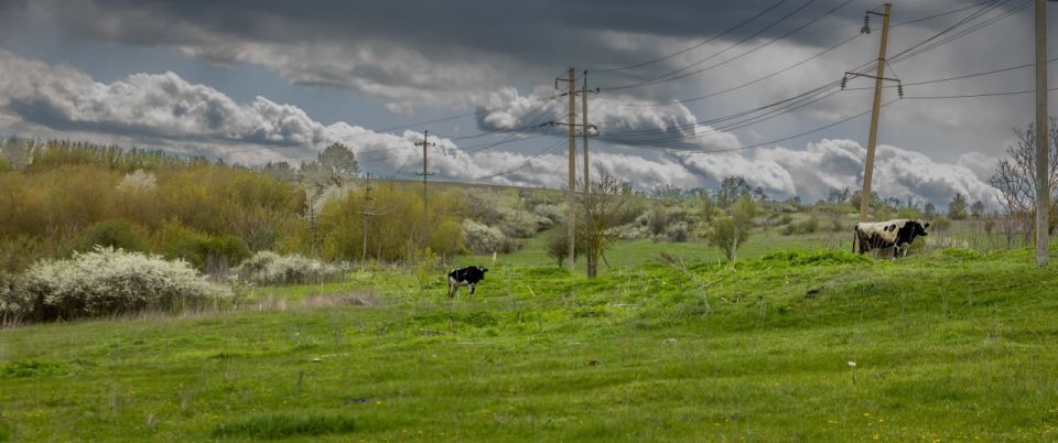 Вы слышали про село Буськи в Рыбницком районе? Это небольшой населённый пункт всего на две улицы и около 60 жителей Вы слышали про село Буськи в Рыбницком районе? Это небольшой населённый пункт всего на две улицы и около 60 жителей