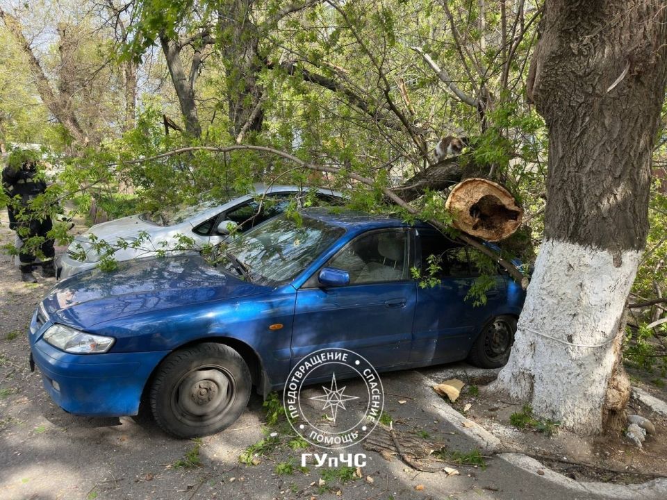 Вчера вечером в республике поднялся сильный ветер Вчера вечером в республике поднялся сильный ветер