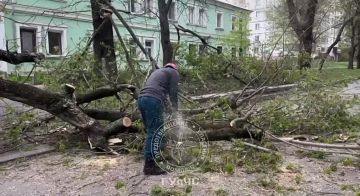 �����: ������������� ����������� �������� �����