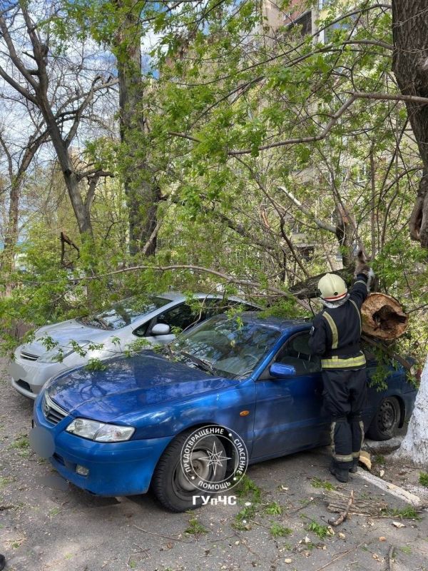 ГУпЧС: ликвидировали последствия сильного ветра ГУпЧС: ликвидировали последствия сильного ветра