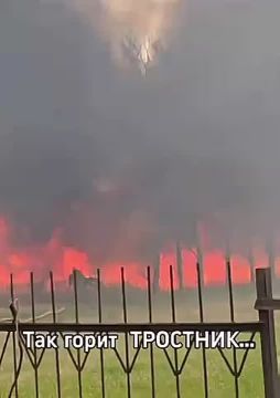 ����� ����� ����� � ��������� � ��������� ������