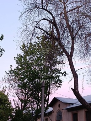 �� ����, ������� ��� ������� ������� ��������� �������� ����� � �������