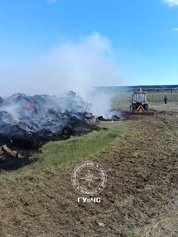 В Суклее на территории садов загорелась солома В Суклее на территории садов загорелась солома
