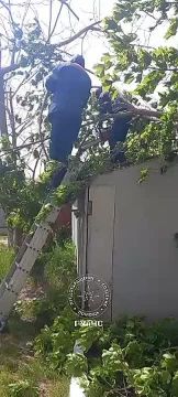 ������������� ��������� ���� ��������� ����������� ��������