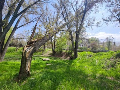 � ���������� � ��� ������ ����� ����� �������