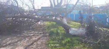 ���������, ����� � ���� ���� � ���� ������, ������������� �����