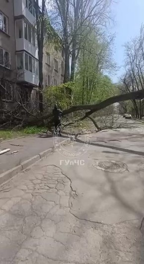 �������, ��. 40 ��� �����. ������ ������������ ������