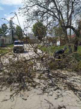 � ��� ��� ����� ������������