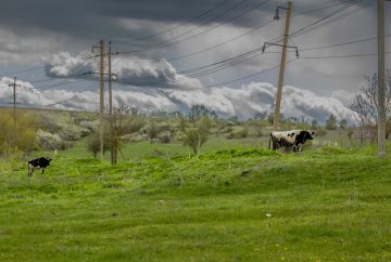 ����� ���������, �� ���������� ��������������� �����