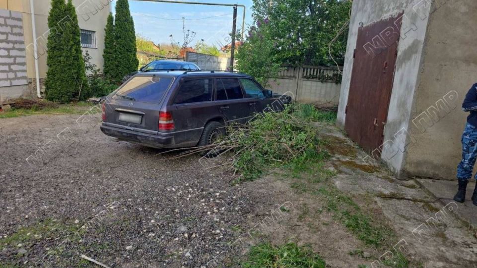 Сгоревшие сухостой и «Фольксваген», поцарапанные авто — сводка ГУпЧС и МВД Сгоревшие сухостой и «Фольксваген», поцарапанные авто — сводка ГУпЧС и МВД