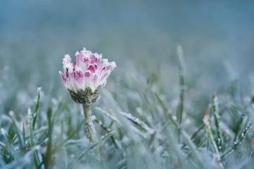 �������� ������� ��� ���� ���������: ��������� �� -3�� �� ����� ������� ����� � ������ �����