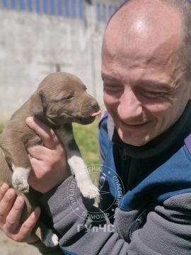 � ��������� �������� ����� ���������� ��������� ������� � ������ ����� �����