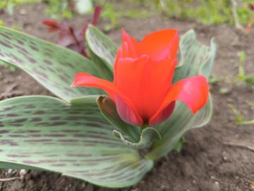 28 ������ ��������� ���������� ����������, ��� ������������ �������