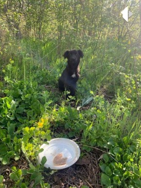 ���������� ������������� ���������������� ������ ������ ������ �� �������