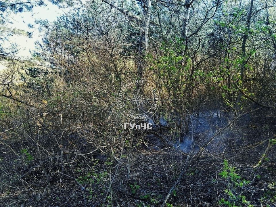 В Рыбницком районе накануне вечером горела сухая трава В Рыбницком районе накануне вечером горела сухая трава